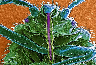 经典布袋戏电影改编游戏 《圣石传说EX》3月11日发售